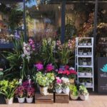 Wild Lotus Floral Design Newport