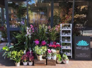 Florist in Newport NSW
